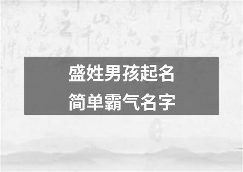 盛姓男孩起名简单霸气名字