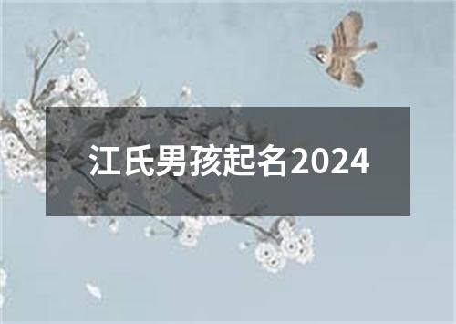 江氏男孩起名2024