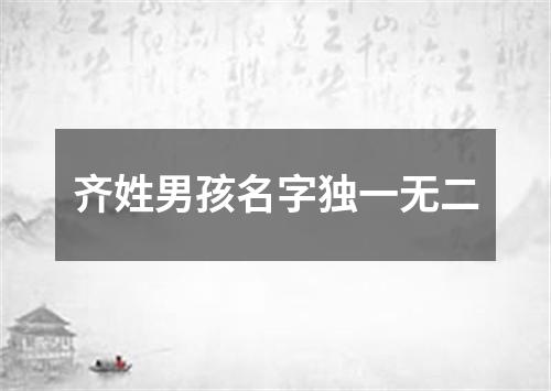 齐姓男孩名字独一无二