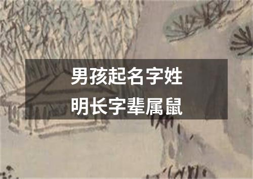 男孩起名字姓明长字辈属鼠