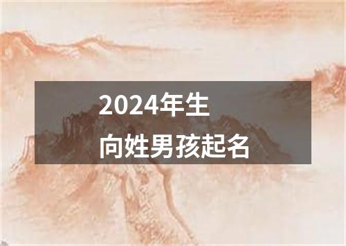 2024年生向姓男孩起名