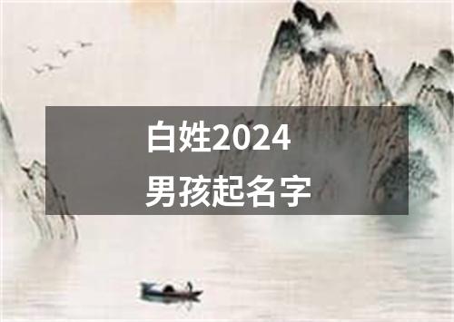 白姓2024男孩起名字