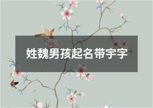 姓魏男孩起名带宇字