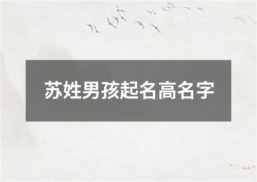 苏姓男孩起名高名字