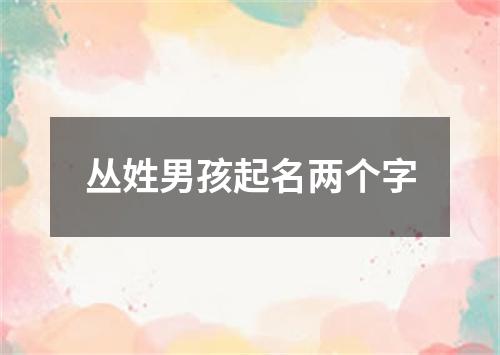 丛姓男孩起名两个字