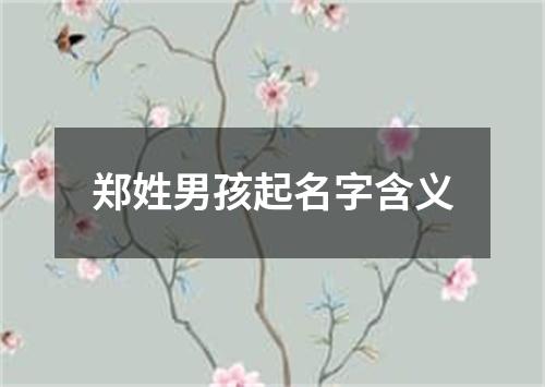 郑姓男孩起名字含义