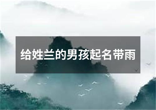 给姓兰的男孩起名带雨