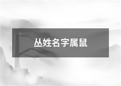 丛姓名字属鼠