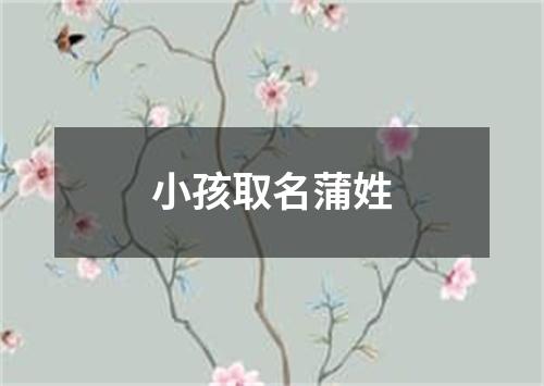 小孩取名蒲姓