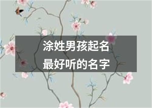 涂姓男孩起名最好听的名字