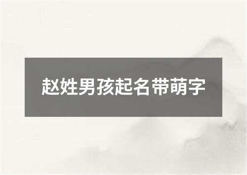 赵姓男孩起名带萌字