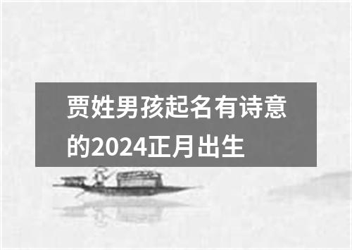 贾姓男孩起名有诗意的2024正月出生