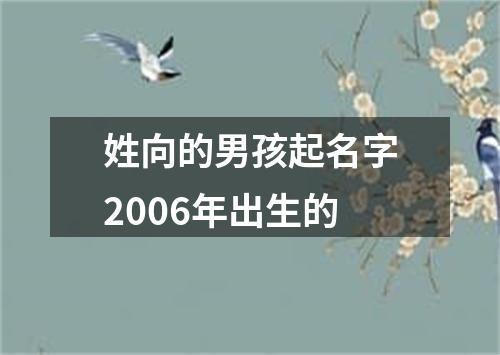 姓向的男孩起名字2006年出生的