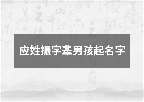 应姓振字辈男孩起名字