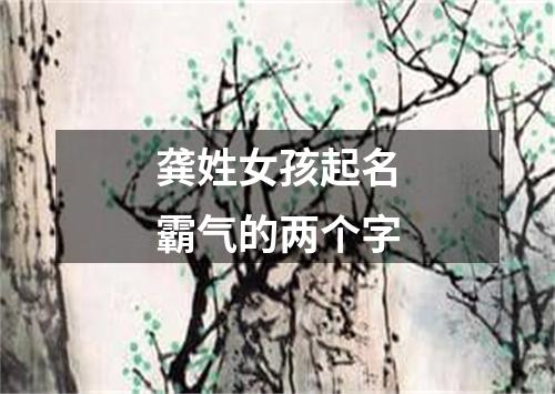 龚姓女孩起名霸气的两个字