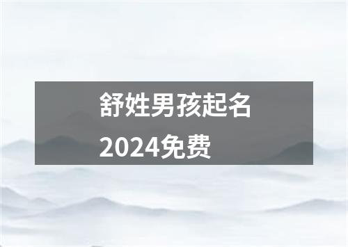 舒姓男孩起名2024免费