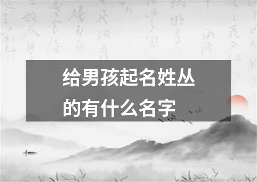 给男孩起名姓丛的有什么名字