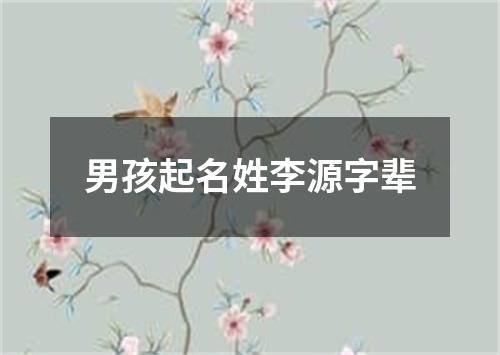 男孩起名姓李源字辈