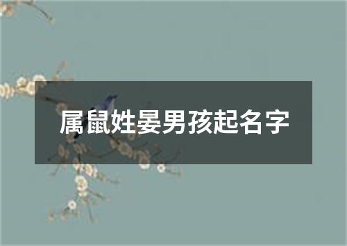 属鼠姓晏男孩起名字