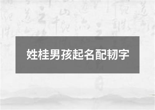 姓桂男孩起名配韧字