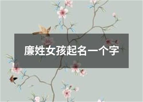 廉姓女孩起名一个字