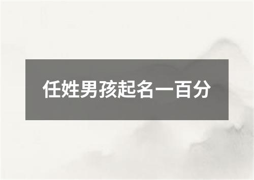 任姓男孩起名一百分