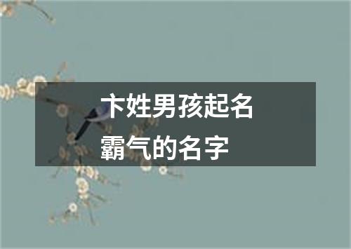 卞姓男孩起名霸气的名字