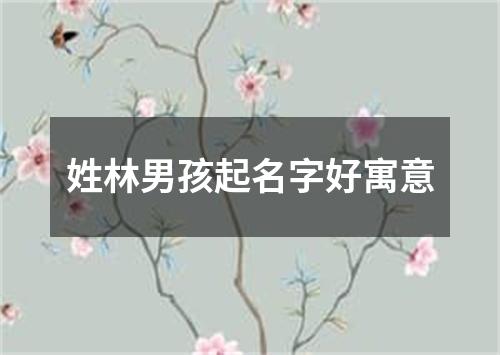 姓林男孩起名字好寓意