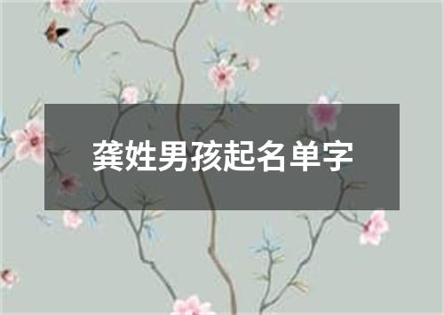 龚姓男孩起名单字