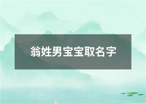 翁姓男宝宝取名字