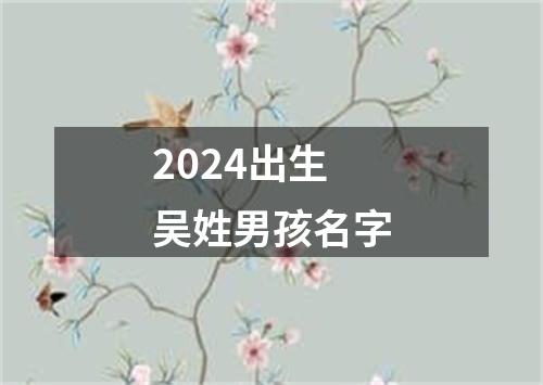 2024出生吴姓男孩名字