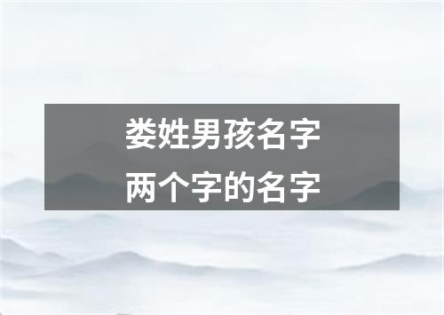 娄姓男孩名字两个字的名字