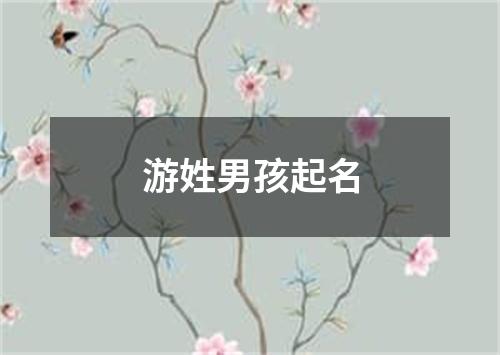 游姓男孩起名