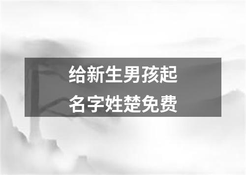 给新生男孩起名字姓楚免费