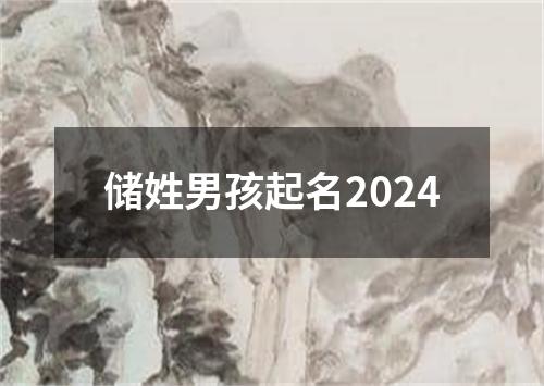 储姓男孩起名2024