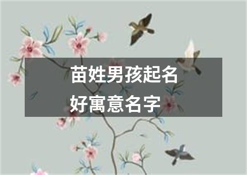 苗姓男孩起名好寓意名字