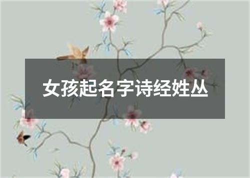 女孩起名字诗经姓丛