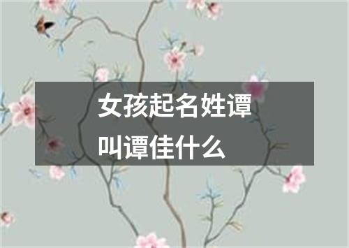 女孩起名姓谭叫谭佳什么