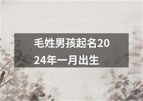 毛姓男孩起名2024年一月出生