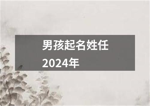 男孩起名姓任2024年