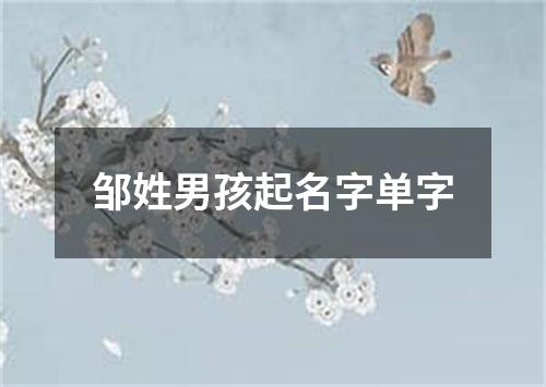 邹姓男孩起名字单字