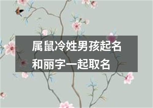 属鼠冷姓男孩起名和丽字一起取名