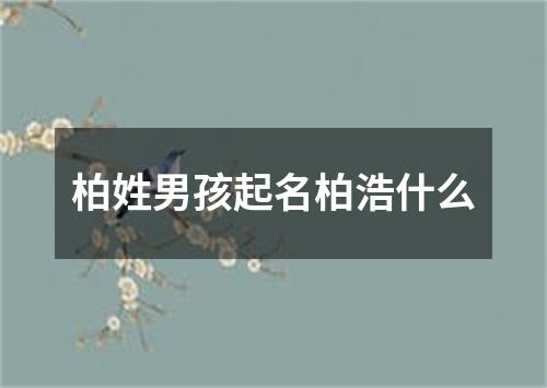 柏姓男孩起名柏浩什么