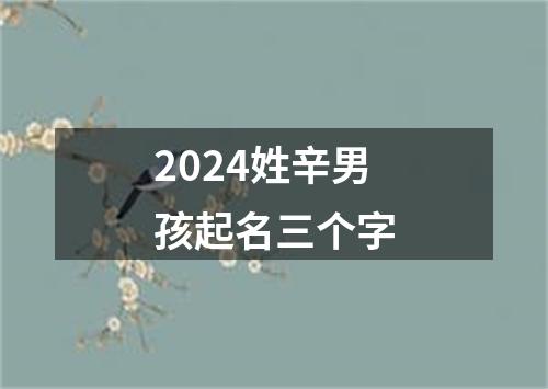 2024姓辛男孩起名三个字