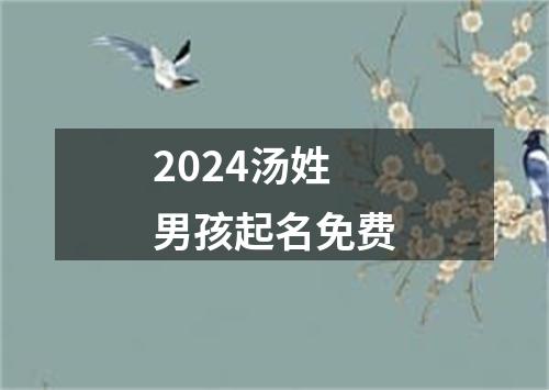 2024汤姓男孩起名免费