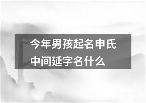 今年男孩起名申氏中间延字名什么