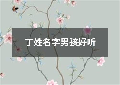 丁姓名字男孩好听