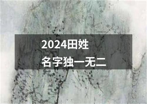 2024田姓名字独一无二