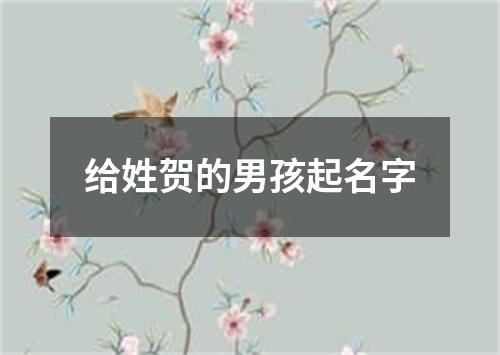 给姓贺的男孩起名字