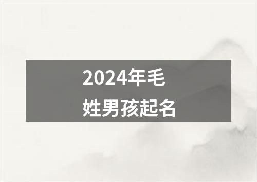 2024年毛姓男孩起名